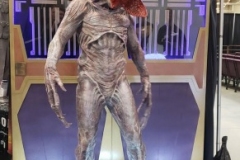 37734254_2701707376511572_2752205594348748800_o_2701707366511573