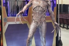 37768713_2701707139844929_7145234230736322560_o_2701707133178263