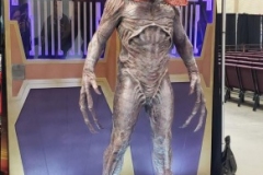 37775497_2701707223178254_3871050042450116608_o_2701707213178255