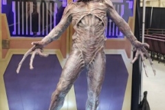 37823133_2701707039844939_8691309456706764800_o_2701707033178273