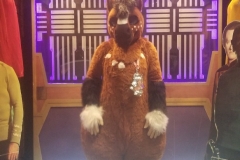 20190804_181652-e1570125609418