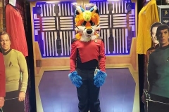 FB_IMG_1564881614708