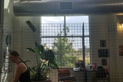 20190816_154611