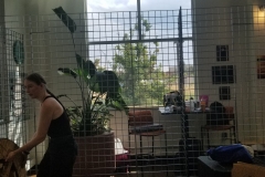 20190816_154612