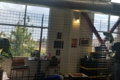 20190816_154614